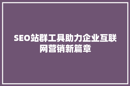 SEO站群工具助力企业互联网营销新篇章