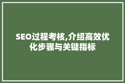 SEO过程考核,介绍高效优化步骤与关键指标