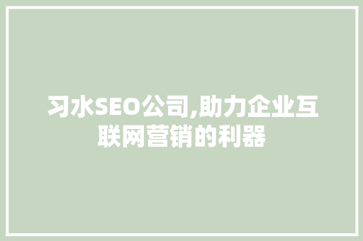 习水SEO公司,助力企业互联网营销的利器