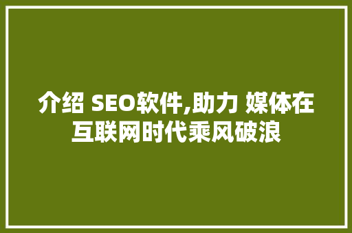 介绍 SEO软件,助力 媒体在互联网时代乘风破浪