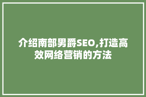 介绍南部男爵SEO,打造高效网络营销的方法