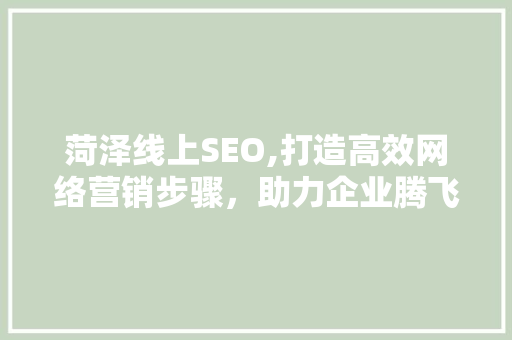 菏泽线上SEO,打造高效网络营销步骤，助力企业腾飞