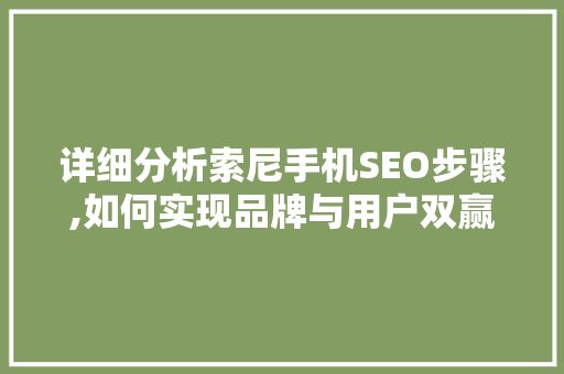 详细分析索尼手机SEO步骤,如何实现品牌与用户双赢