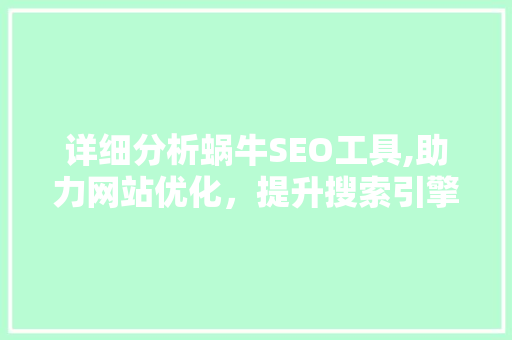 详细分析蜗牛SEO工具,助力网站优化，提升搜索引擎排名