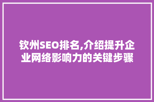 钦州SEO排名,介绍提升企业网络影响力的关键步骤