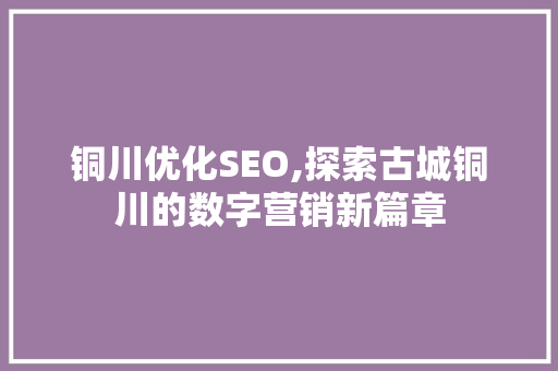 铜川优化SEO,探索古城铜川的数字营销新篇章