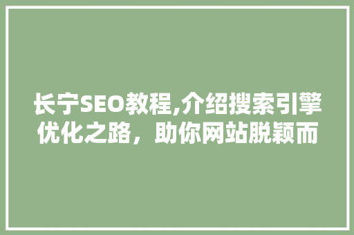 长宁SEO教程,介绍搜索引擎优化之路，助你网站脱颖而出 电脑基础