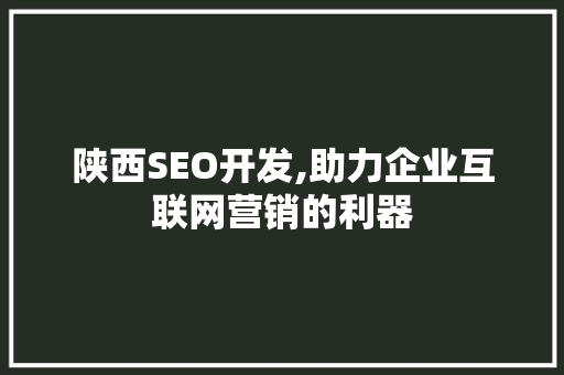 陕西SEO开发,助力企业互联网营销的利器