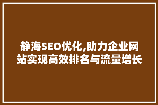 静海SEO优化,助力企业网站实现高效排名与流量增长