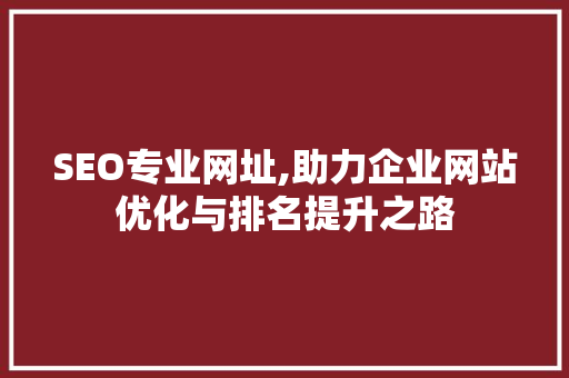 SEO专业网址,助力企业网站优化与排名提升之路