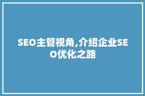 SEO主管视角,介绍企业SEO优化之路