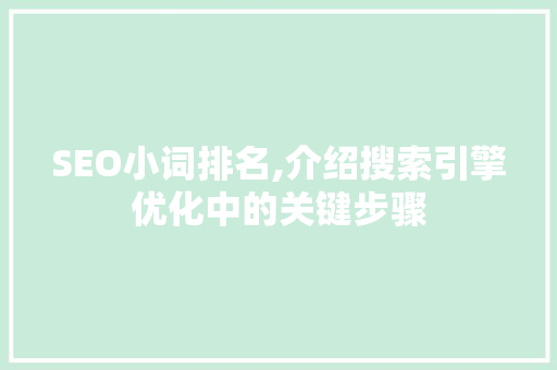 SEO小词排名,介绍搜索引擎优化中的关键步骤