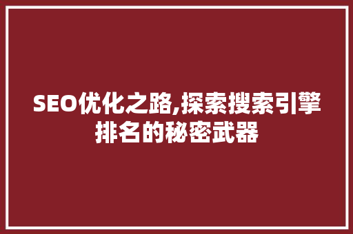 SEO优化之路,探索搜索引擎排名的秘密武器