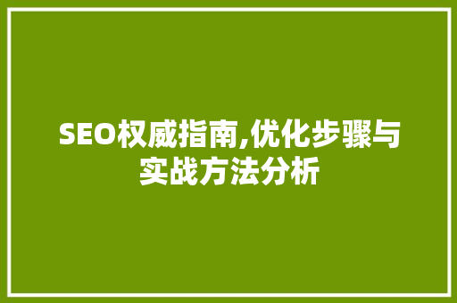 SEO权威指南,优化步骤与实战方法分析