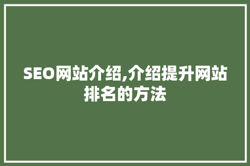 SEO网站介绍,介绍提升网站排名的方法