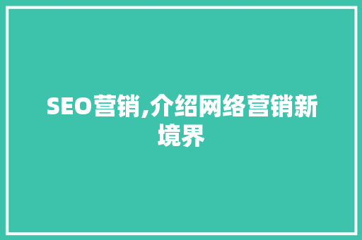 SEO营销,介绍网络营销新境界