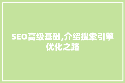 SEO高级基础,介绍搜索引擎优化之路