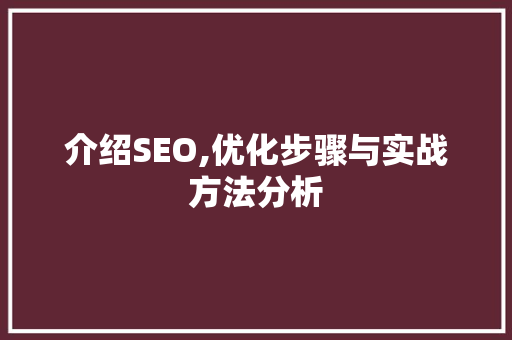介绍SEO,优化步骤与实战方法分析