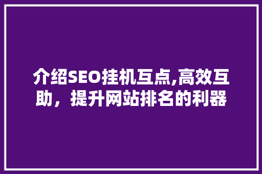 介绍SEO挂机互点,高效互助，提升网站排名的利器