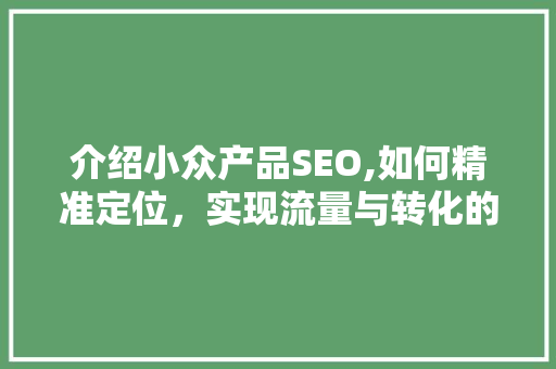 介绍小众产品SEO,如何精准定位，实现流量与转化的双赢
