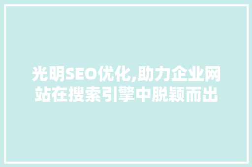 光明SEO优化,助力企业网站在搜索引擎中脱颖而出 编程语言