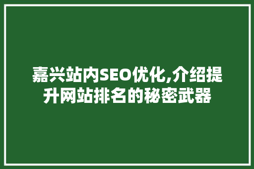 嘉兴站内SEO优化,介绍提升网站排名的秘密武器