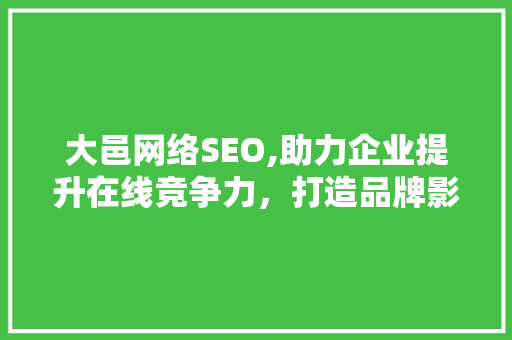 大邑网络SEO,助力企业提升在线竞争力，打造品牌影响力