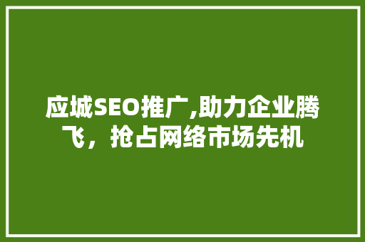 应城SEO推广,助力企业腾飞，抢占网络市场先机