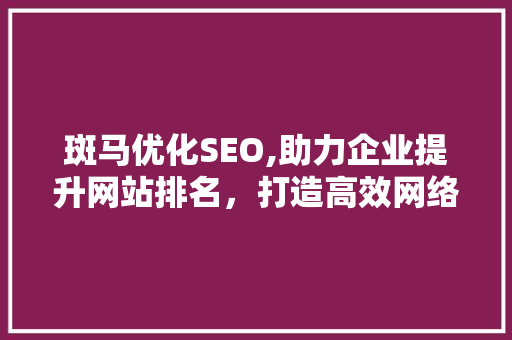 斑马优化SEO,助力企业提升网站排名，打造高效网络营销步骤 电脑基础