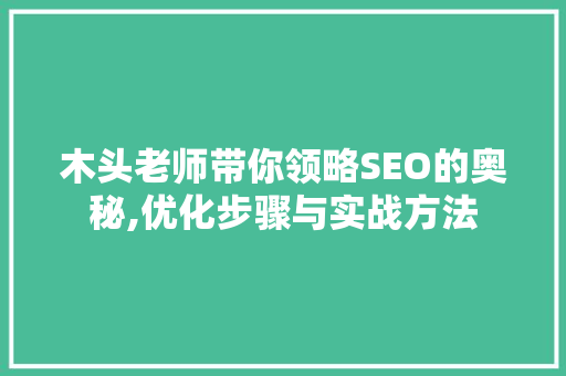 木头老师带你领略SEO的奥秘,优化步骤与实战方法 木头老师带你领略SEO的奥秘,优化步骤与实战方法