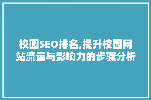 校园SEO排名,提升校园网站流量与影响力的步骤分析
