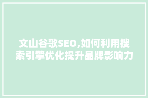 文山谷歌SEO,如何利用搜索引擎优化提升品牌影响力