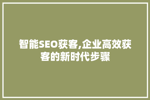 智能SEO获客,企业高效获客的新时代步骤 智能SEO获客,企业高效获客的新时代步骤