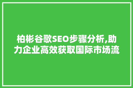 柏彬谷歌SEO步骤分析,助力企业高效获取国际市场流量