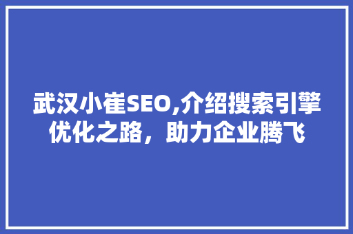 武汉小崔SEO,介绍搜索引擎优化之路，助力企业腾飞