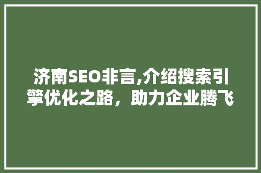 济南SEO非言,介绍搜索引擎优化之路，助力企业腾飞
