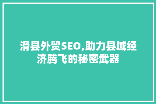 滑县外贸SEO,助力县域经济腾飞的秘密武器