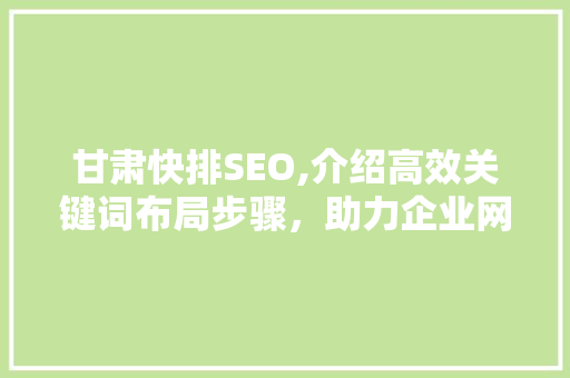 甘肃快排SEO,介绍高效关键词布局步骤，助力企业网站优化