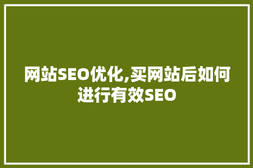 网站SEO优化,买网站后如何进行有效SEO 网站SEO优化,买网站后如何进行有效SEO