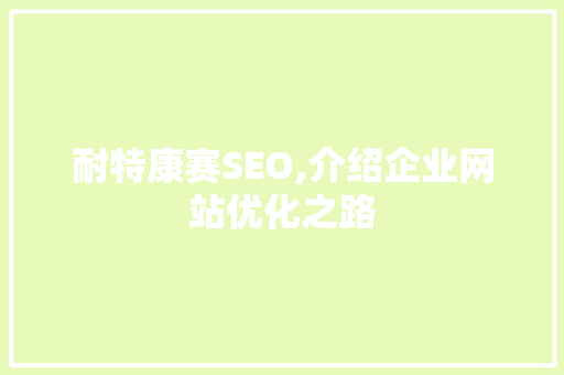 耐特康赛SEO,介绍企业网站优化之路 耐特康赛SEO,介绍企业网站优化之路