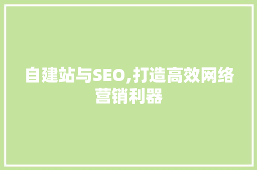 自建站与SEO,打造高效网络营销利器 自建站与SEO,打造高效网络营销利器