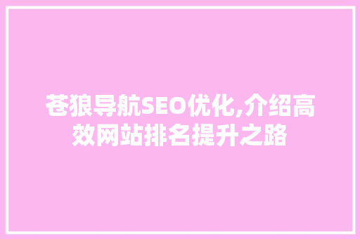 苍狼导航SEO优化,介绍高效网站排名提升之路