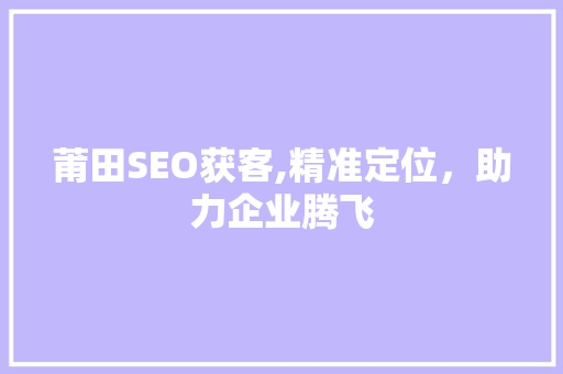 莆田SEO获客,精准定位，助力企业腾飞
