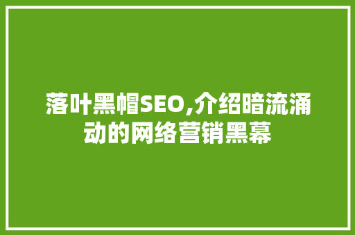落叶黑帽SEO,介绍暗流涌动的网络营销黑幕 落叶黑帽SEO,介绍暗流涌动的网络营销黑幕