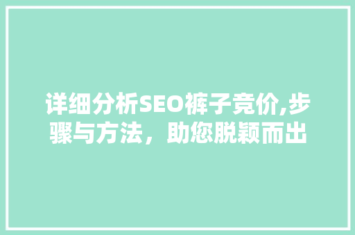 详细分析SEO裤子竞价,步骤与方法，助您脱颖而出