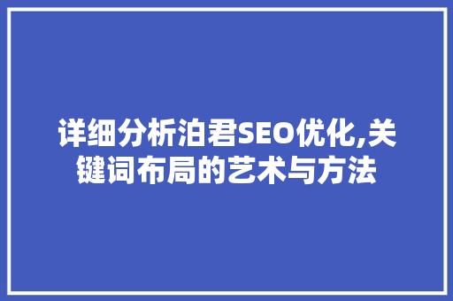 详细分析泊君SEO优化,关键词布局的艺术与方法