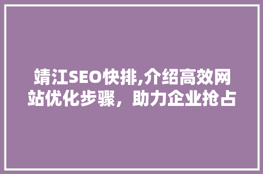 靖江SEO快排,介绍高效网站优化步骤，助力企业抢占市场先机