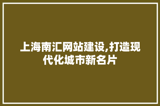 上海南汇网站建设,打造现代化城市新名片