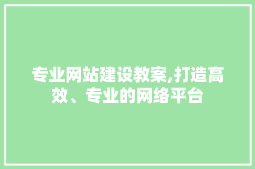 专业网站建设教案,打造高效、专业的网络平台