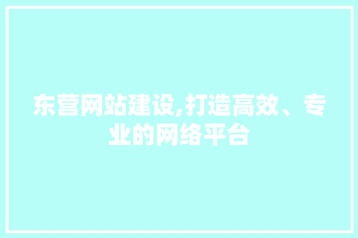 东营网站建设,打造高效、专业的网络平台
